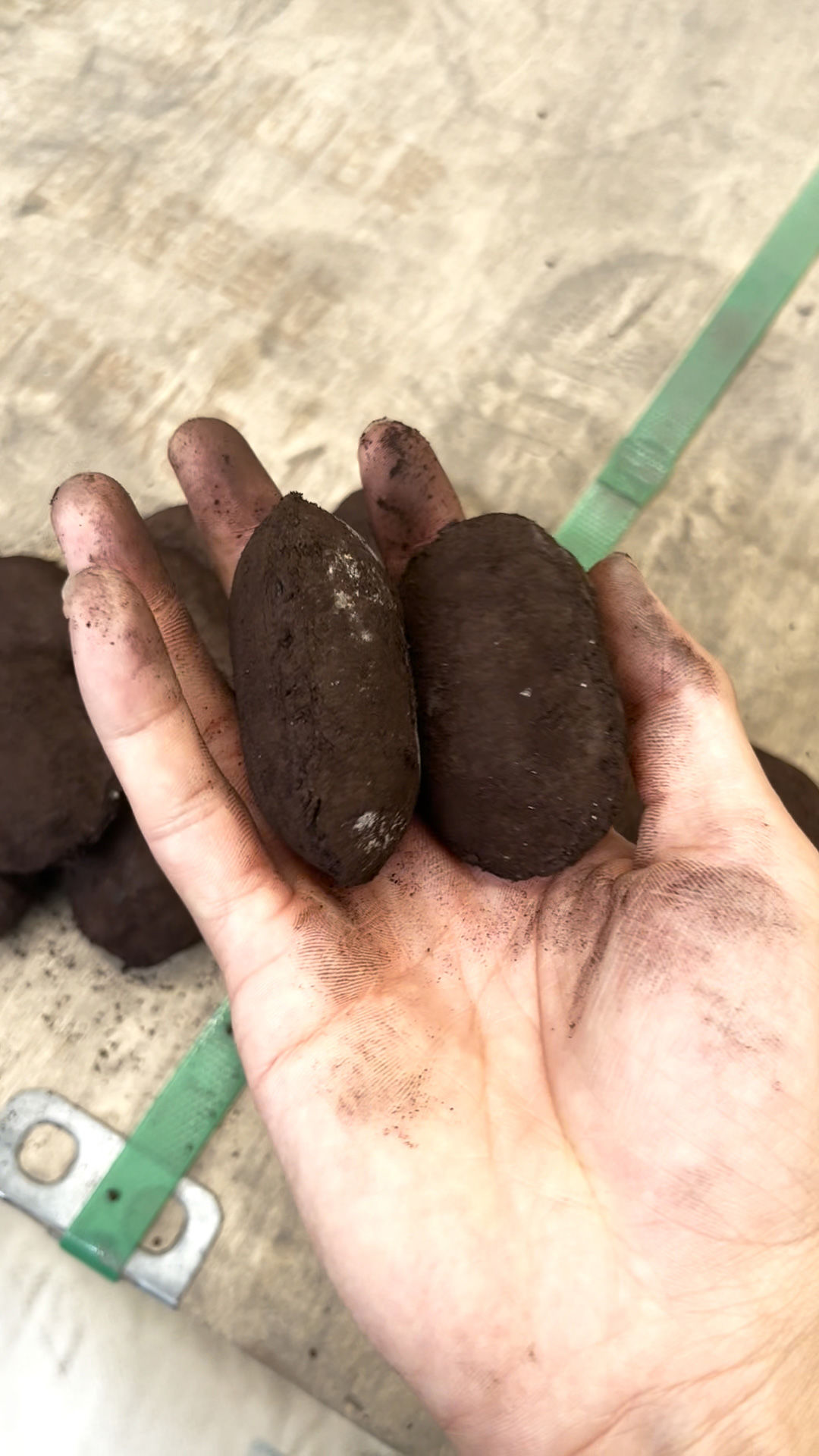 球团在烘干的时辰总是崩解，粉化