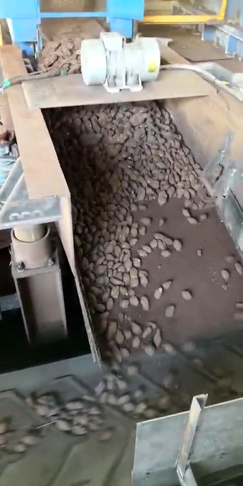 转底炉脱锌除尘灰压球用粘合剂技术分析